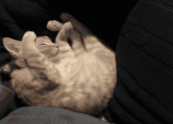 Maximizing the benefits of upgrading your Microsoft 365 Enterprise licenses